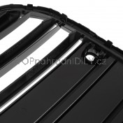 Přední maska ​​chladiče černá lesklá, BMW řada 4, G22, G23, 2020 e